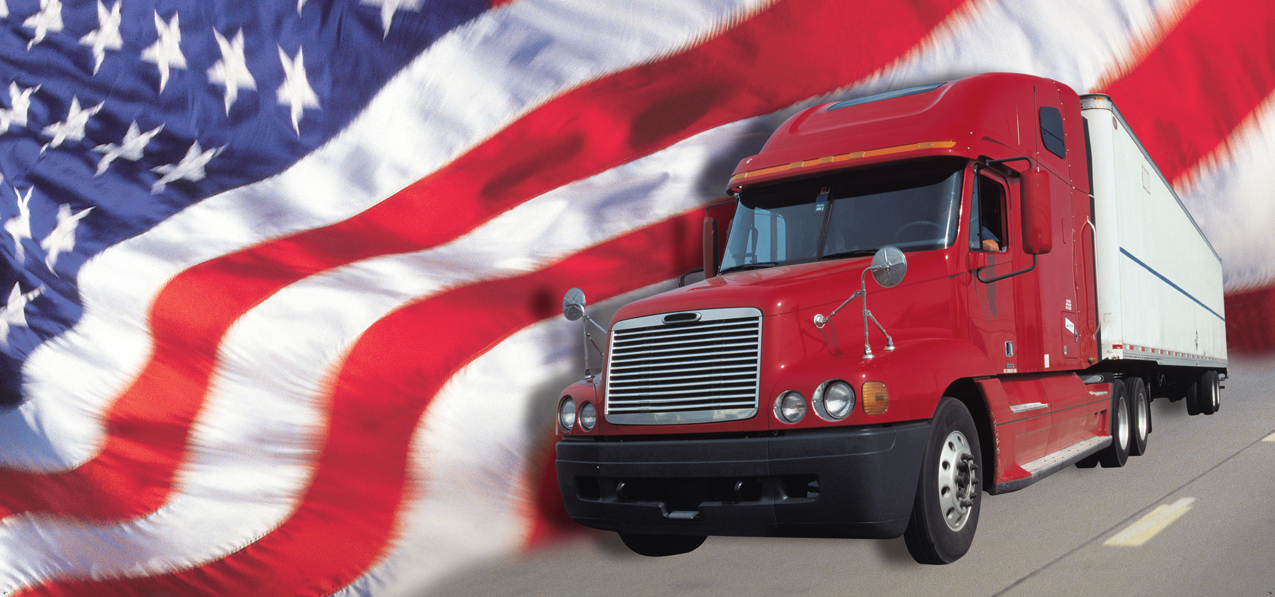 P 333 Flag Heading Home Flag (No Text)